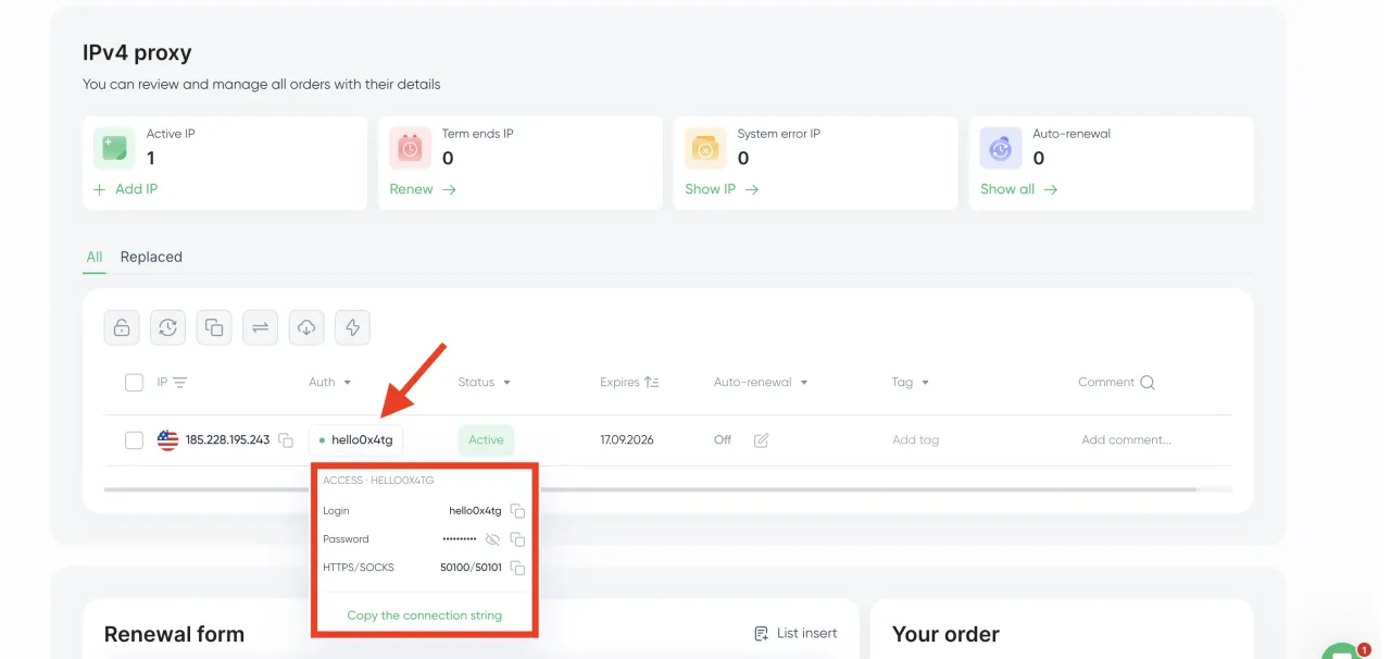 Proxy Seller — إعداد البروكسي