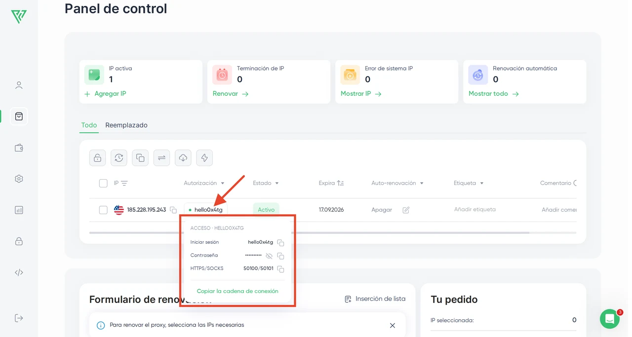 Proxy Seller — Configuración de los proxies