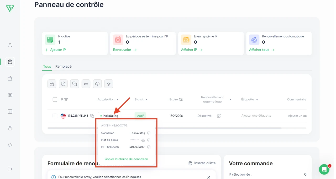 Proxy Seller — Configuration des proxys