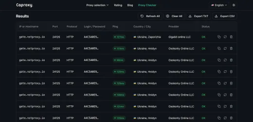 Bir proxy’nin çalışıp çalışmadığını nasıl kontrol edebilirsiniz?