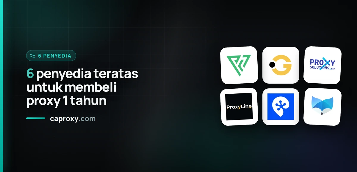 6 penyedia teratas untuk membeli proxy 1 tahun