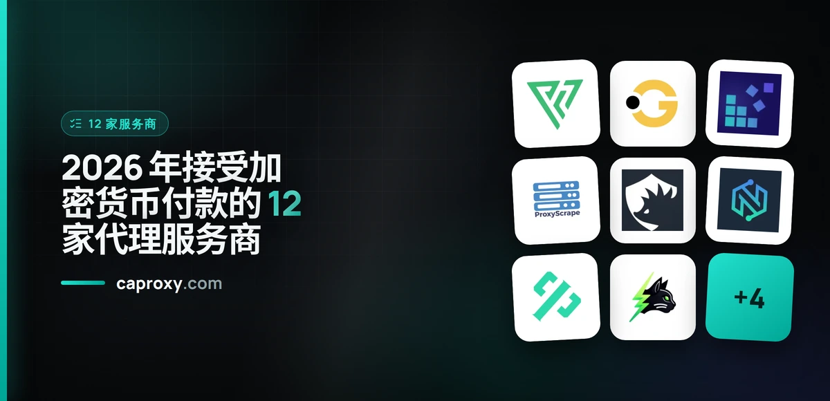2026 年接受加密货币付款的 12 家代理服务商