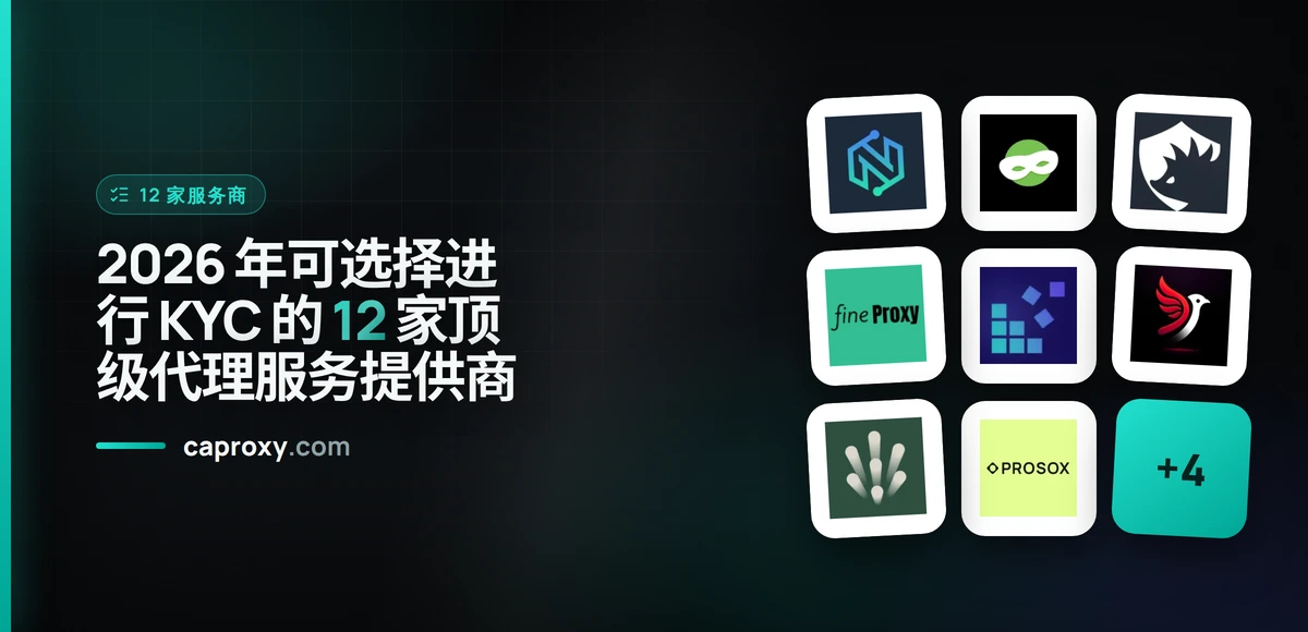 2026 年可选择进行 KYC 的 12 家顶级代理服务提供商