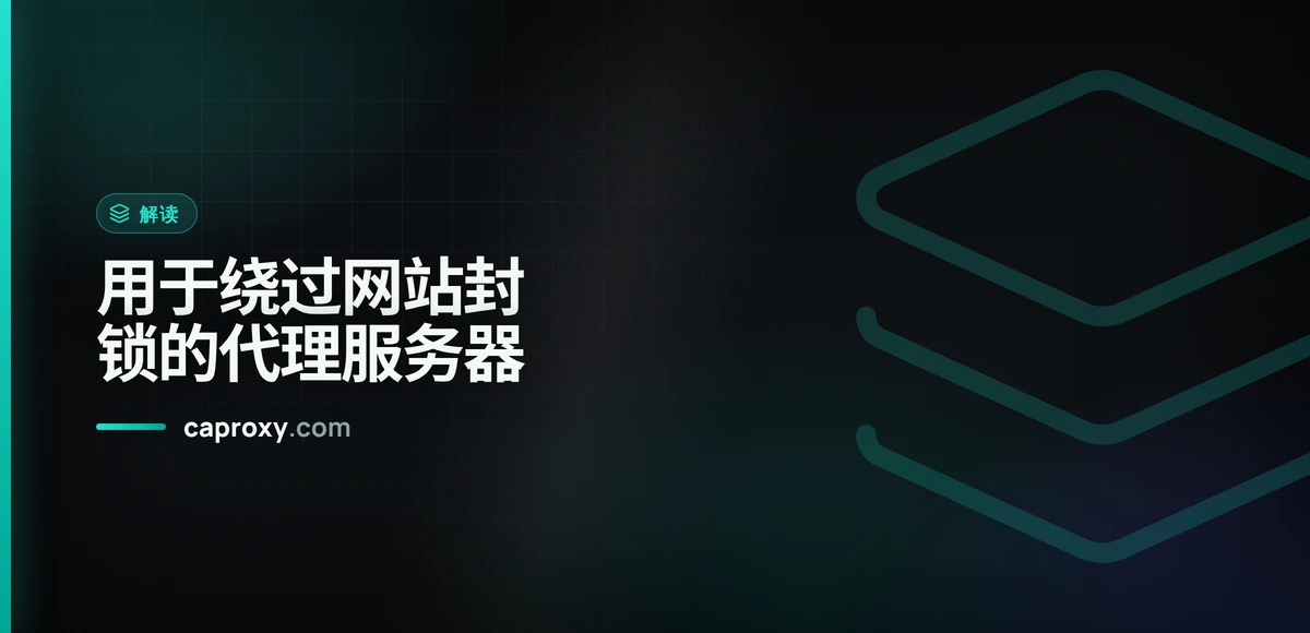 用于绕过网站封锁的代理服务器